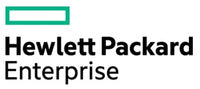 HPE RAID 1 Drive 1 FIO Setting processor