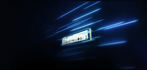 Kingston Technology 500G NV2 M.2 2280 PCIe 4.0 NVMe SSD