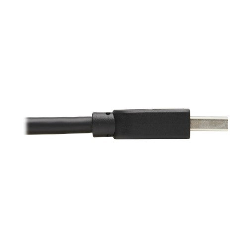 Tripp Lite U325-015 USB 3.0 SuperSpeed A to A Cable for USB 3.0 All-in-One Keystone/Panel Mount Couplers (M/M), Black,15 ft. (4.6 m)