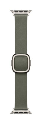 Apple 42mm Sage Grey Modern Buckle - Large