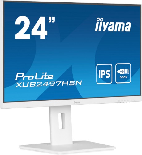 iiyama ProLite 24" IPS technology panel with USB-C dock and RJ45 (LAN)