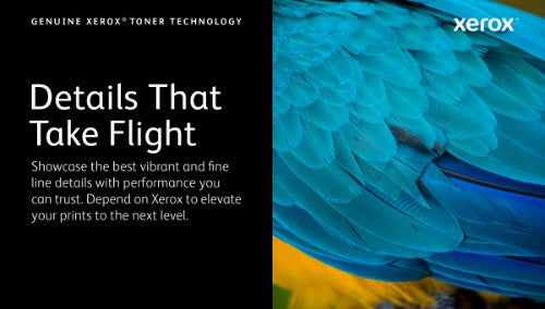 Xerox 006R04385 Toner cartridge magenta, 1.5K pages ISO/IEC 19752 for Xerox C 230