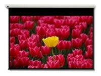 Optoma Pantalla 16:9 2656 x 1494mm projection screen 3.05 m (120")