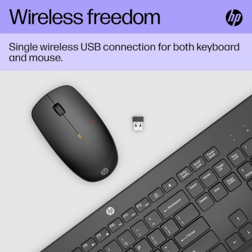 HP 235 Wireless Mouse and Keyboard Combo