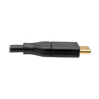 Tripp Lite U444-010-DP USB-C to DisplayPort Active Adapter Cable (M/M), 4K 60 Hz, 10 ft. (3.1 m)