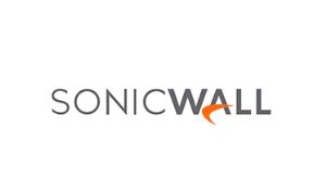 SonicWall Spike License Pack - Temporary capacity upgrade (10 days) - 1000 users - upgrade from 5 us