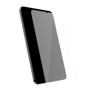 Apple iPad Tinkerbell Glass Shield